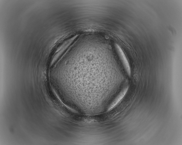 X0000113160547200909181813