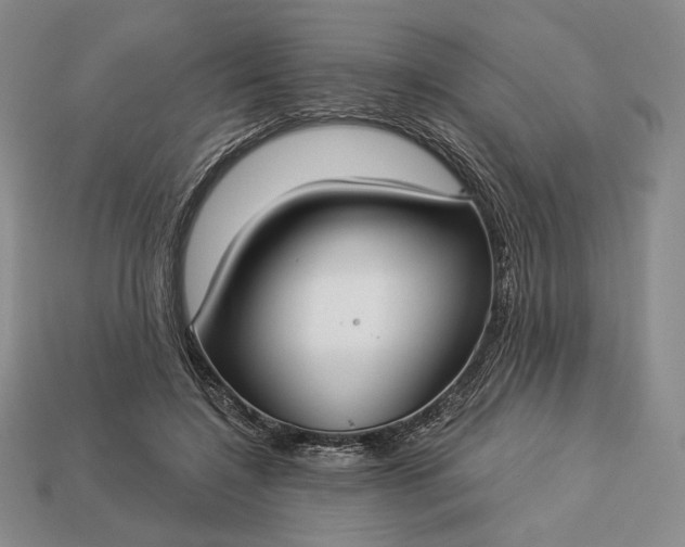 X0000113160548200909181813