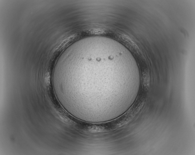 X0000113160549200909181813