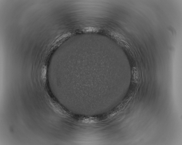 X0000113160550200909181813