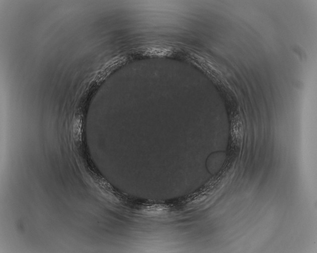 X0000113160551200909181813