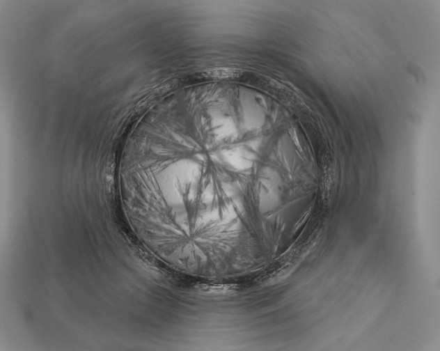 X0000113160553200909181813