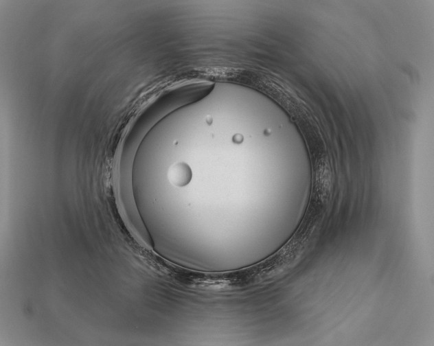 X0000113160554200909181813