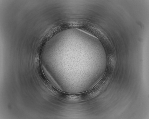 X0000113160557200909181813