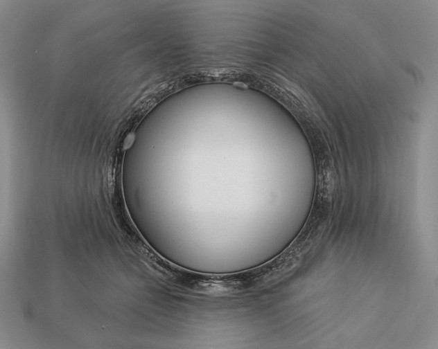 X0000113160558200909181813