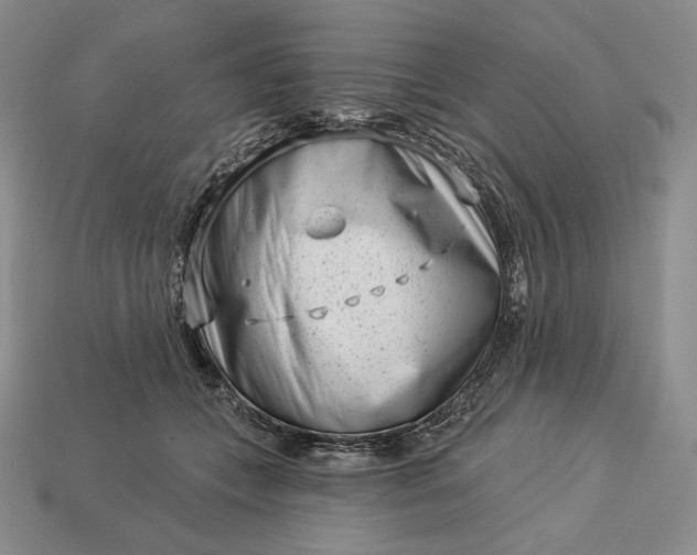 X0000113160559200909181813