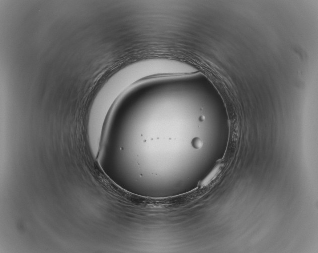 X0000113160560200909181813