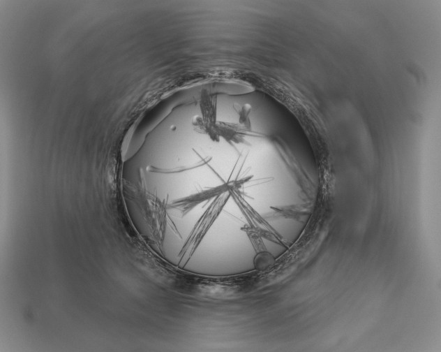 X0000113160561200909181813