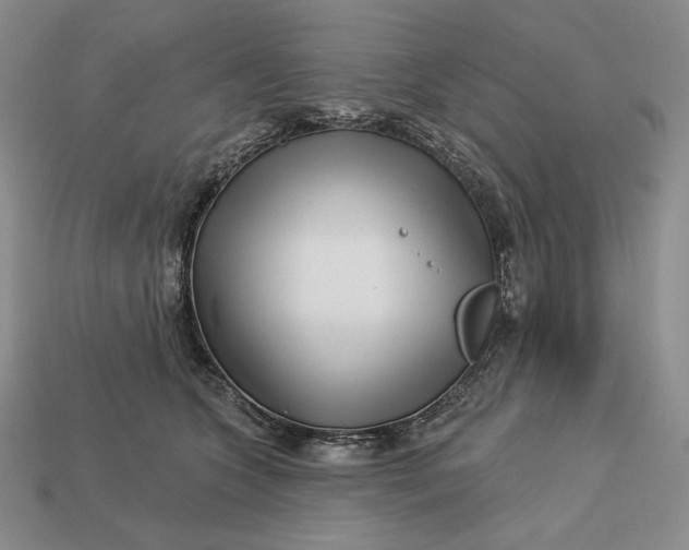 X0000113160563200909181814