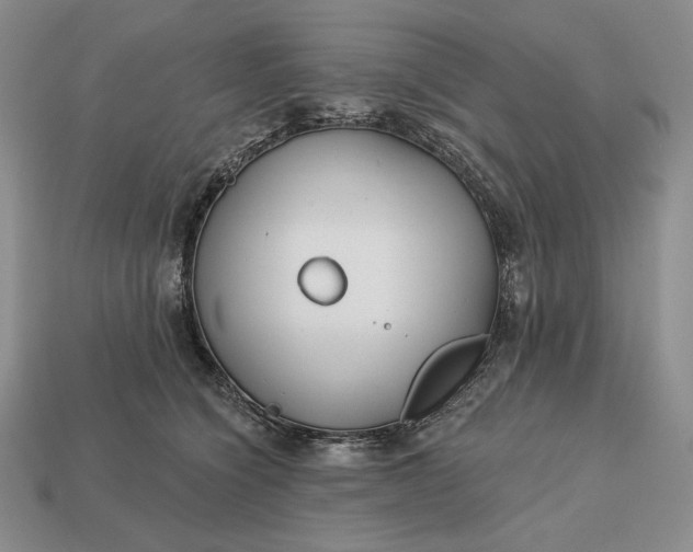 X0000113160564200909181814