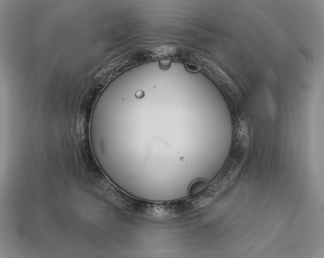 X0000113160565200909181814