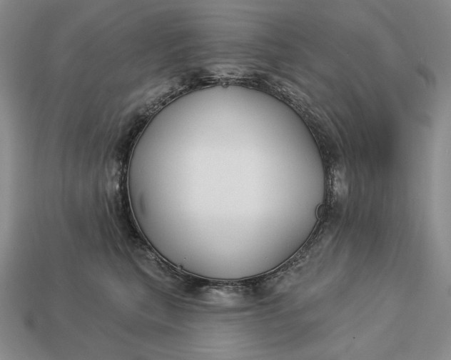 X0000113160567200909181814