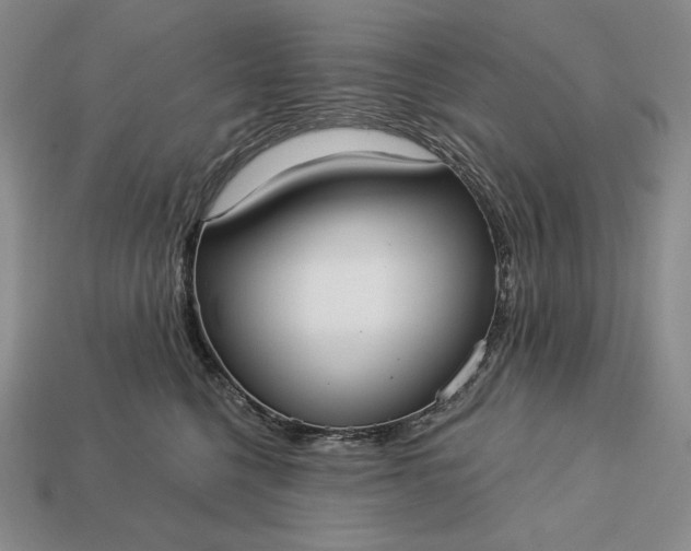 X0000113160568200909181814