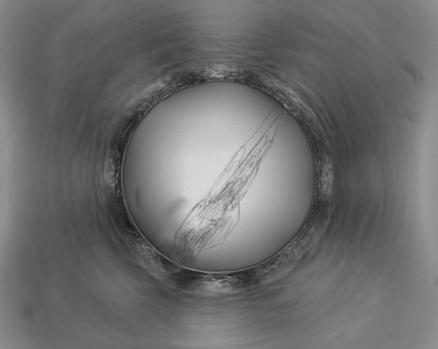 X0000113160569200909181814