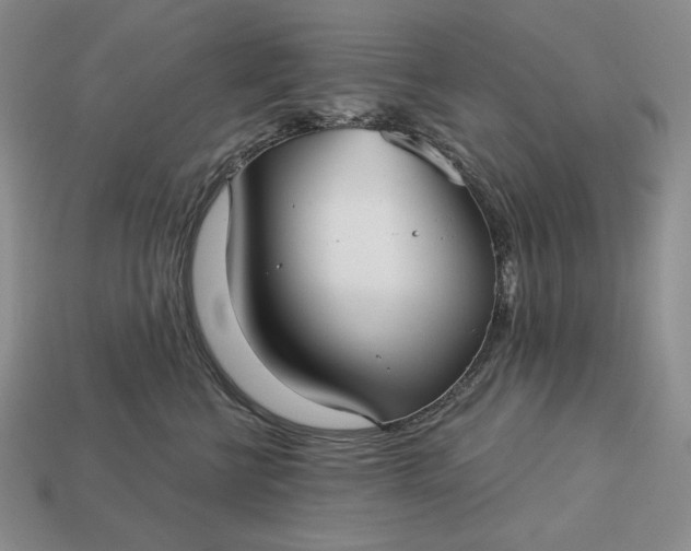 X0000113160570200909181814