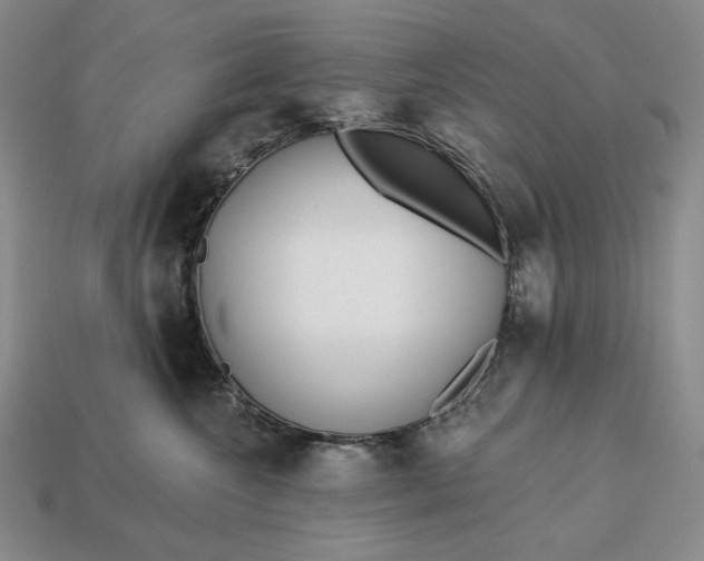 X0000113160572200909181814