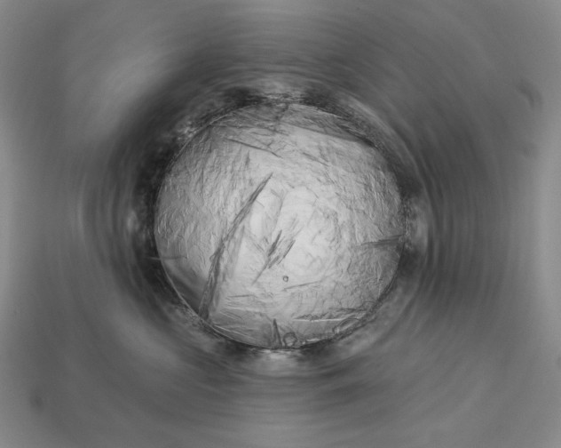 X0000113160573200909181814