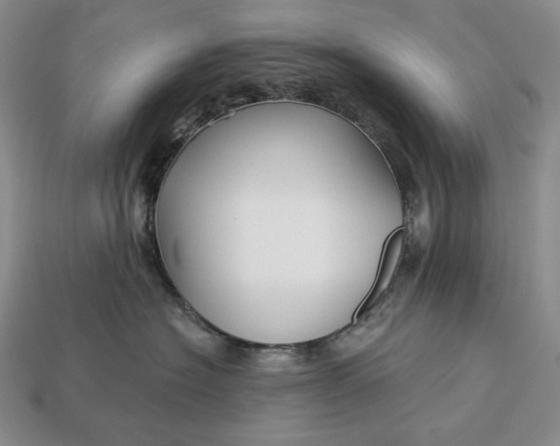 X0000113160574200909181814