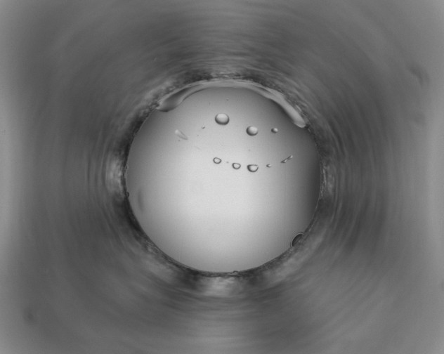 X0000113160575200909181814