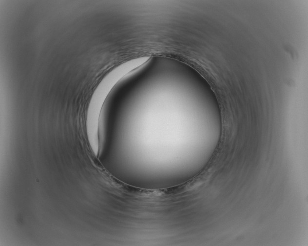 X0000113160576200909181814