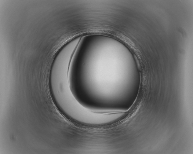 X0000113160577200909181813