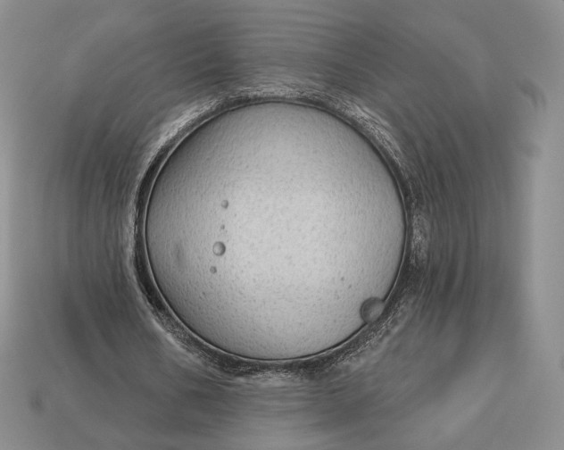 X0000113160578200909181813