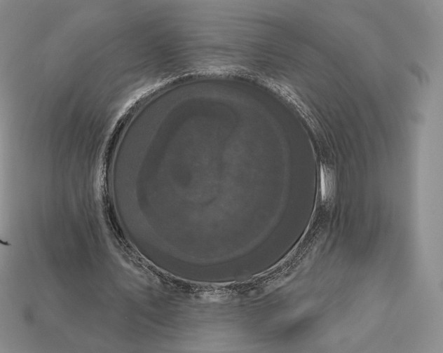 X0000113160579200909181813