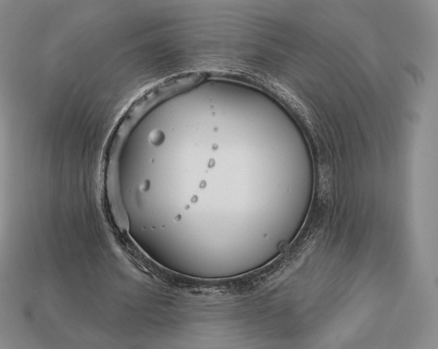 X0000113160580200909181813