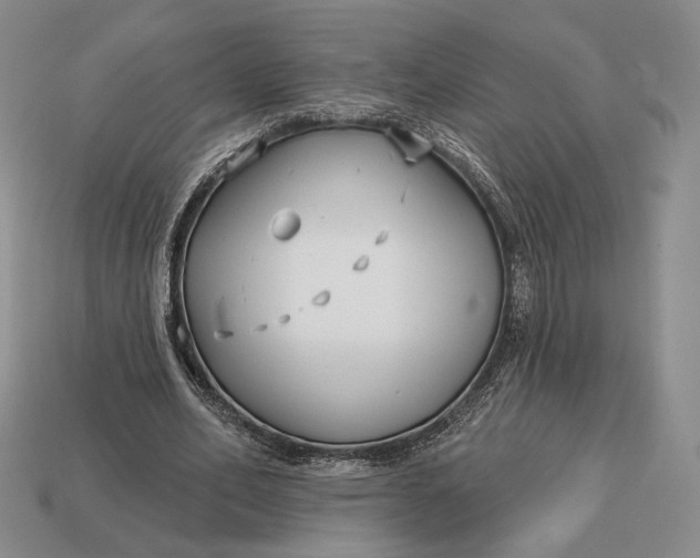 X0000113160582200909181813