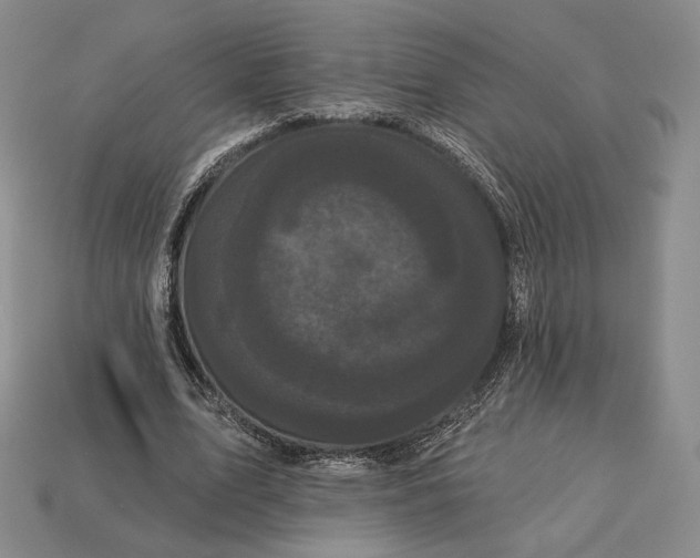 X0000113160583200909181813