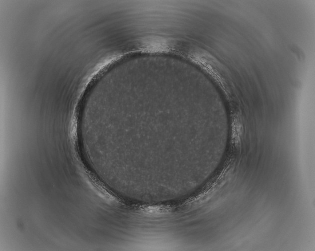 X0000113160584200909181813