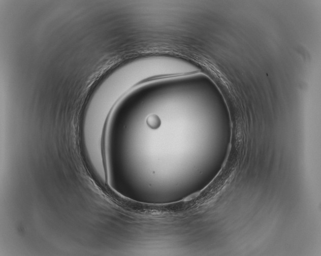 X0000113160585200909181813