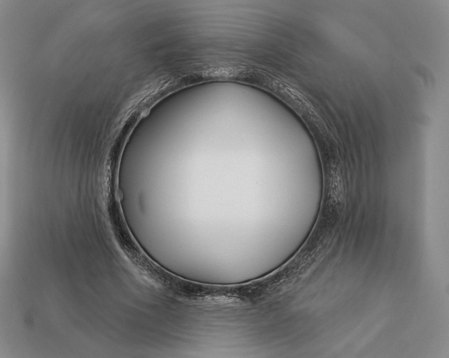 X0000113160586200909181813