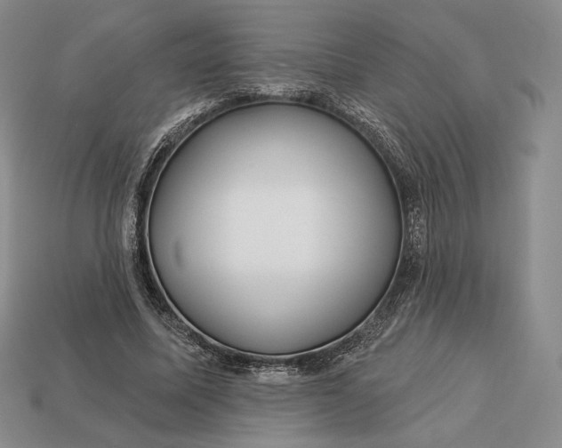 X0000113160587200909181813