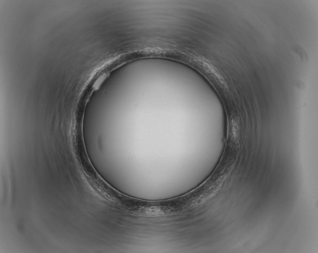 X0000113160588200909181813