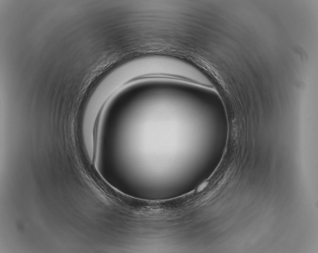 X0000113160589200909181813