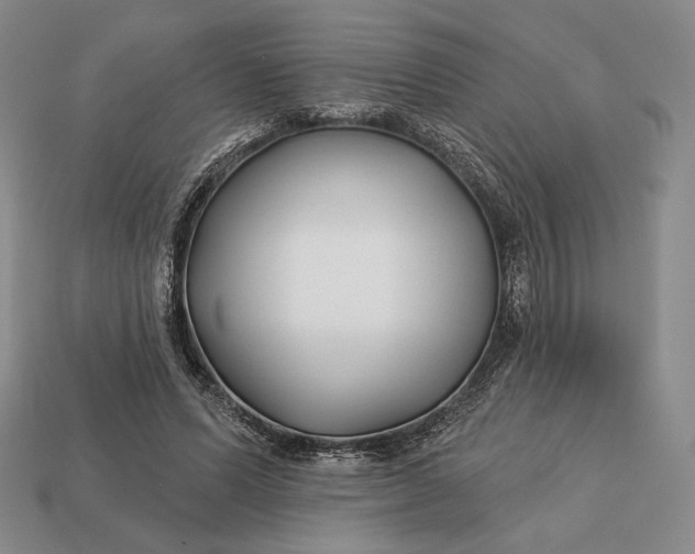 X0000113160591200909181813