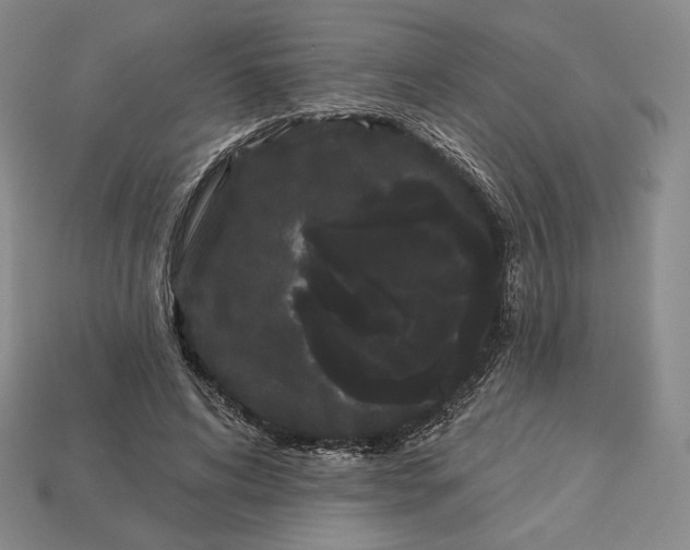 X0000113160592200909181813