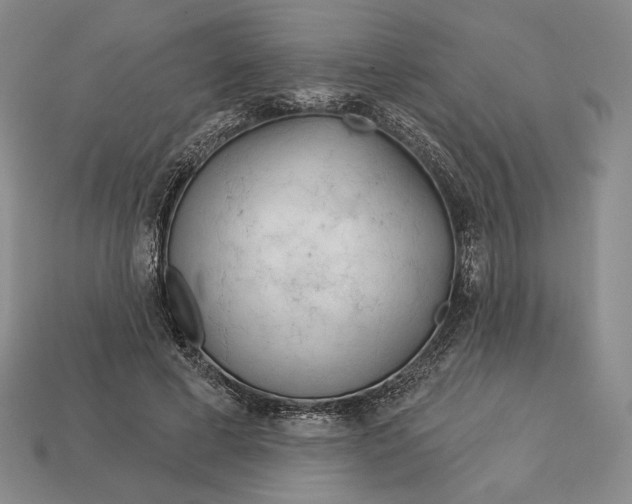 X0000113160593200909181813