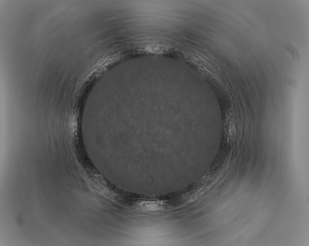 X0000113160595200909181813