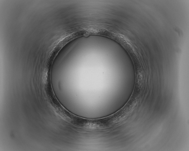 X0000113160596200909181813