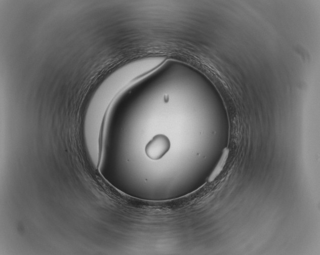 X0000113160597200909181813