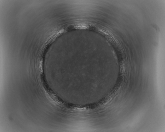 X0000113160598200909181813