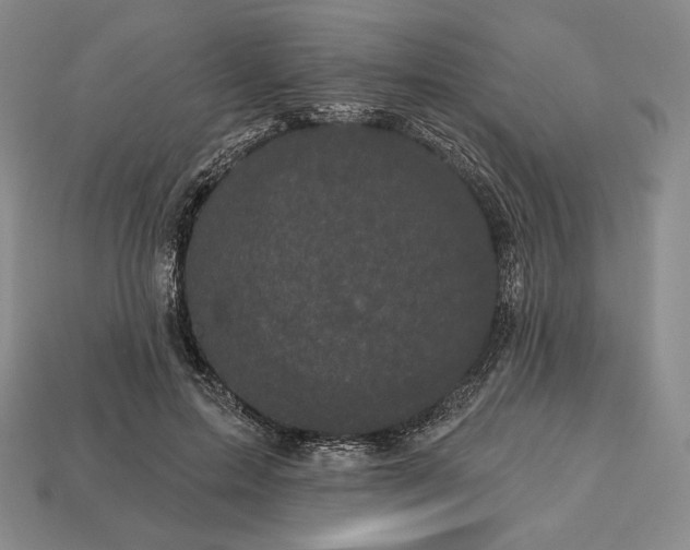 X0000113160599200909181813