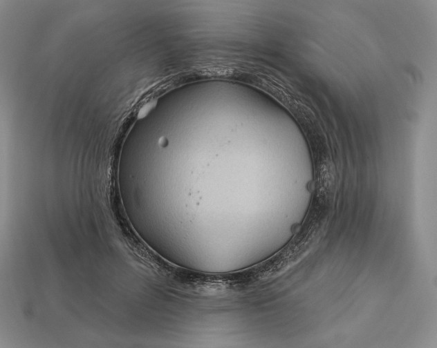 X0000113160600200909181813