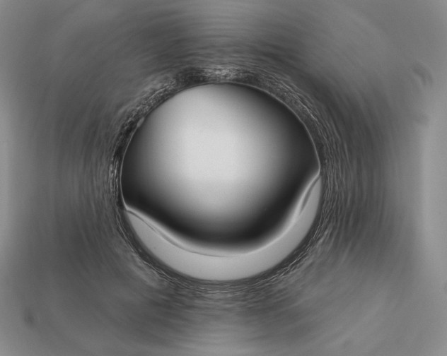 X0000113160601200909181813