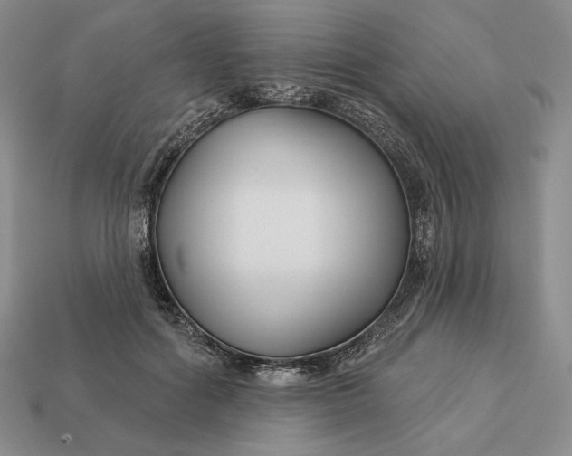 X0000113160602200909181813