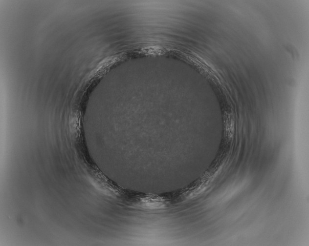 X0000113160603200909181813