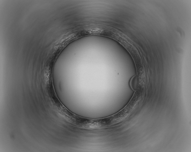 X0000113160604200909181813