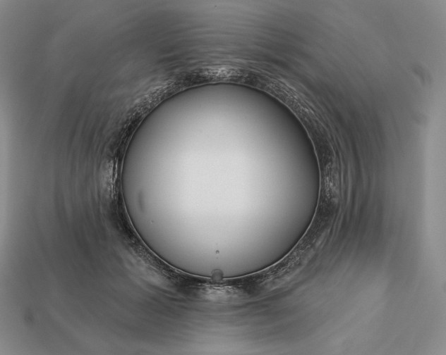 X0000113160605200909181813